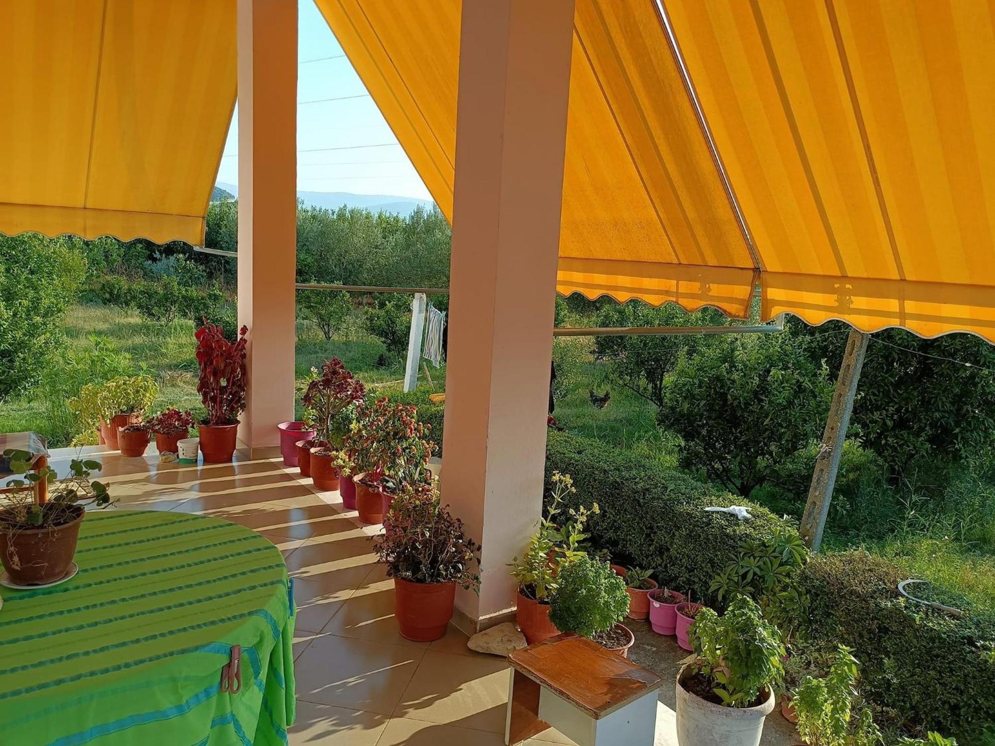 Guest House Fetie Μπεράτ Εξωτερικό φωτογραφία